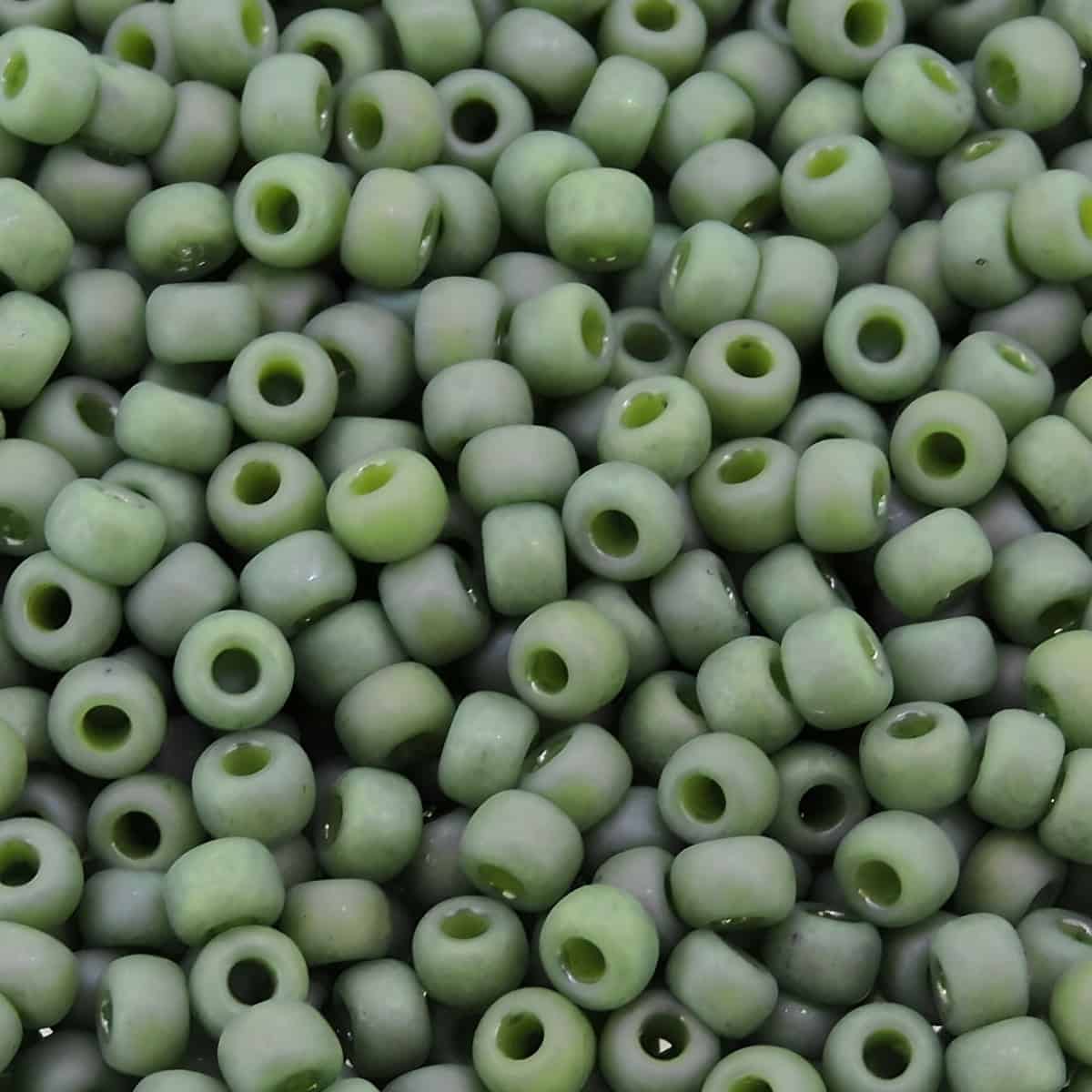 Miyuki Round Seed Beads Size 8/0 Frosted Opaque Glazed Rainbow Kiwi 22GM