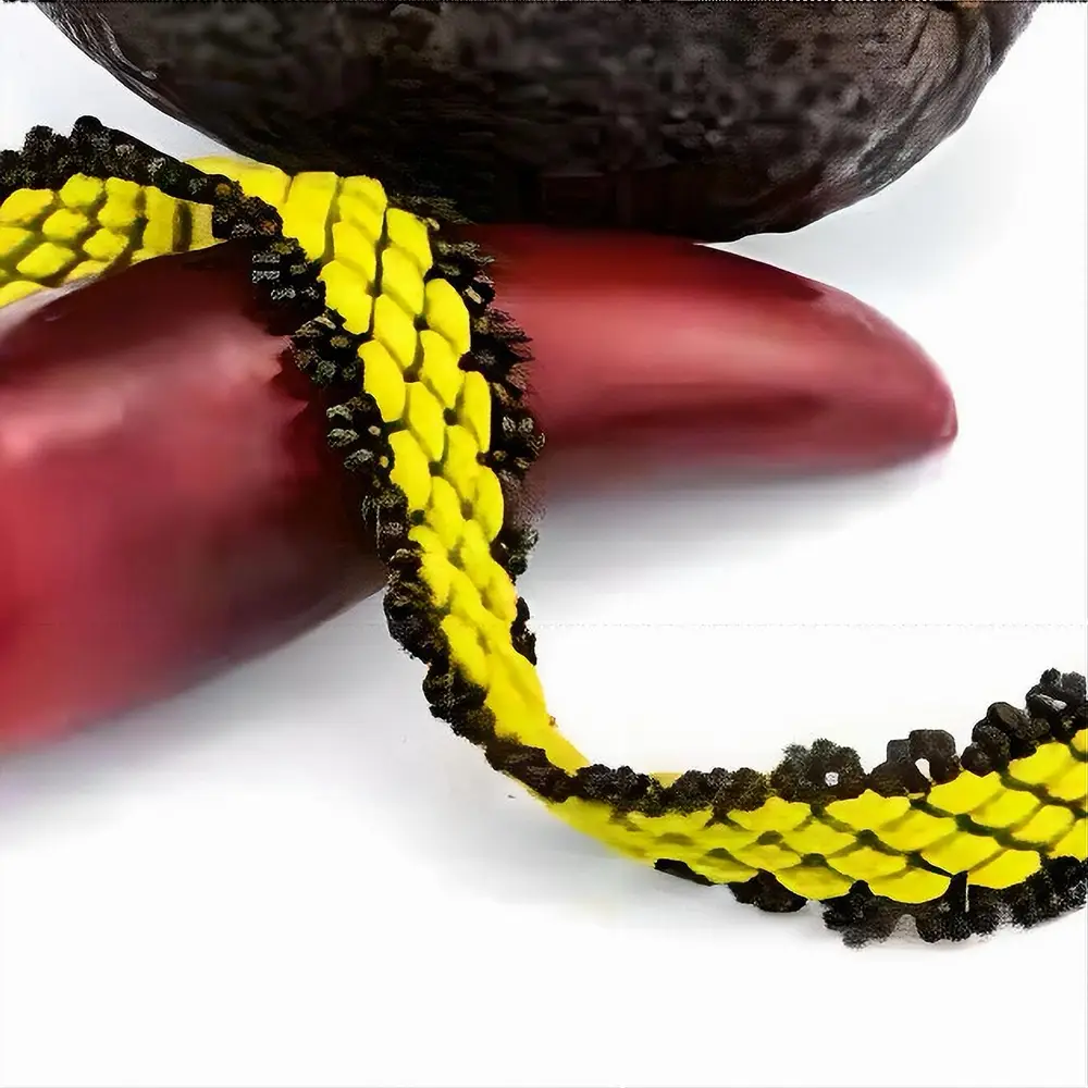 Guacamole Bracelet Pattern