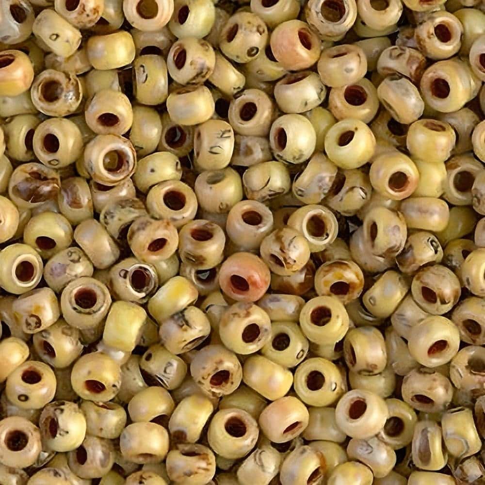 Miyuki Round Seed Beads Size 8/0 Picasso Canary Yellow 22GM